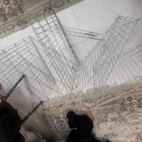 پارک سگ ۸ظلعی