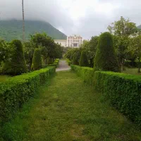 علف تراشی باغ و باغچه