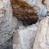 فروش عسل طبیعی به شرط تست