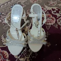 کفش مجلسی
