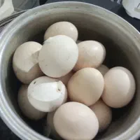 تخم مرغ لاری