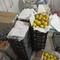 فروش سیب و گلابی|خوردنی و آشامیدنی|خواجه, |دیوار