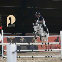 آموزش سوارکاری|خدمات آموزشی|تهران, پیکان شهر|دیوار