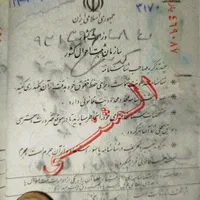 گمشده کارت ملی به نام محمد سپهری