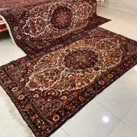 جفت پرده ای برچلو همدان گیاهی گوشتدار سالم|فرش|همدان, |دیوار