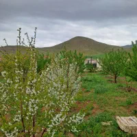 هزار متر باغ میوه دشت بهشت