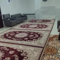 فروش 7تخته فرش6متری سالم شسته شده|فرش|سنندج, |دیوار