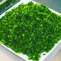 خردکردن خورشتی(انواع کوکویی وغیره) سبزی تازه|خوردنی و آشامیدنی|قم, حاج خلیل|دیوار