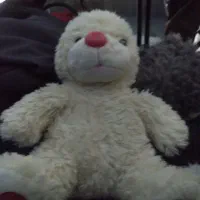 کالسکه|کالسکه و لوازم جانبی|اردبیل, |دیوار