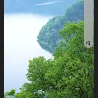 راهنمایی میخوام آقا هستم