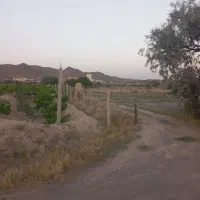 فروش زمین کشاورزی|فروش دفتر صنعتی، کشاورزی، تجاری|بناب, |دیوار