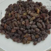 فروش کشمش آفتابی درجه یک بوانات