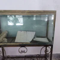 آکواریوم