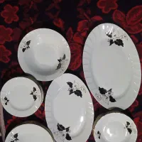 ظروف چینی زرین