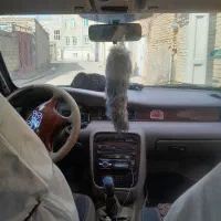 سمند مدل ۸۸|خودرو سواری و وانت|میاندوآب, |دیوار