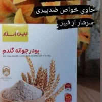 پودر جوانه گندم بین استار اصل بمب چاقی صورت|خوردنی و آشامیدنی|شیراز, اکبر آباد|دیوار