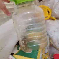 دبه فرمانی سالم