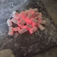 زغال حبه ای کبابی|عمدهفروشی|نهاوند, |دیوار