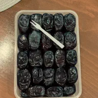 فروش خرما درجه یک