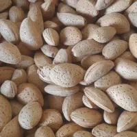 بادام تلخ|خوردنی و آشامیدنی|شیراز, عادل آباد|دیوار