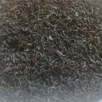 فروش چای شمال مستقیم از کارخانه