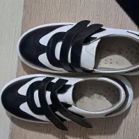 کفش مارک کال چرم نو نو|کیف، کفش، کمربند|اراک, |دیوار