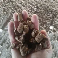 خوراک دام