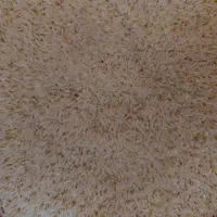 برنج زیر قیمت بازار