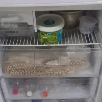 یخچال|یخچال و فریزر|بندرعباس, |دیوار