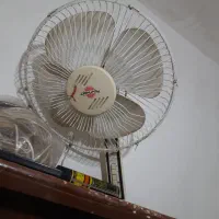 پنکه پایه بلند پارس،خزر قدیمی سلام نونیست