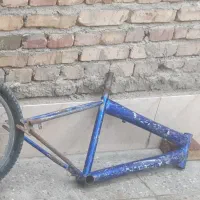 تنه بیست