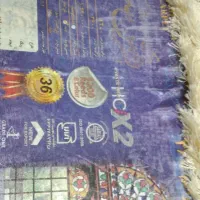 سه تخته فرش ۶متری نو زیبا|فرش|کرمانشاه, |دیوار