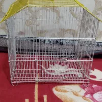 قفس پرنده|لوازم جانبی حیوانات|ایلام, |دیوار