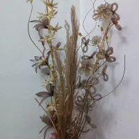 امورات منزل