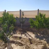خدمات ساختمانی میانجلگه|مصالح و تجهیزات ساختمان|میان جلگه, |دیوار