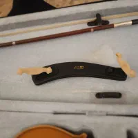 ویالون تی اف سایز ۴/۴|ویولن|شیراز, دشت چنار|دیوار