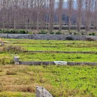 سرمایه گذاری(زمین ۶۰۰متری) اقساط۱۲ماهه|فروش زمین و ملک کلنگی|امامزاده عبدالله, |دیوار
