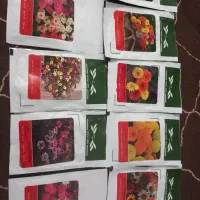 سیم کارت سبز|سیمکارت|بندر دیر, |دیوار