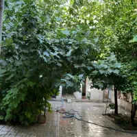 ویلایی 200متری، 5 دقیقه تا شاهچراغ|اجارهٔ کوتاه‌مدت آپارتمان و سوئیت|شیراز, شاهچراغ|دیوار