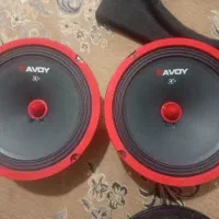 یک جفت میدرنج ساوی اصل نو