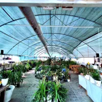 خدمات حرفه ای گل و گیاه در محل شما