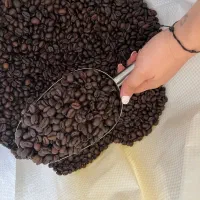 پخش عمده دان قهوه با ارسال رایگان در استان