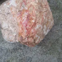 سکه های ایرانی قدیمی|کلکسیون سکه، تمبر، اسکناس|آبش احمد, |دیوار