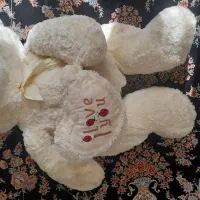 خرس پشمی|اسباببازی|نهاوند, |دیوار