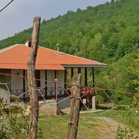 اجاره ویلا جنگلی در دل طبیعت