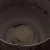 سماور آپولون|سماور، چای‌ساز، قهوه‌ساز|محمودآباد, |دیوار