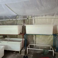 آکواریوم شیشه تانک .و وان 400لیتری|ماهی|پاکدشت, خاتون آباد|دیوار