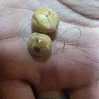 مهره زبونبند.|جواهرات|اهواز, فرهنگ شهر|دیوار