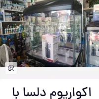 دلسا|ماهی|بندر امام خمینی, |دیوار