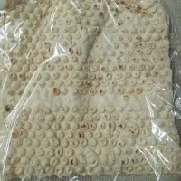 پخش نان